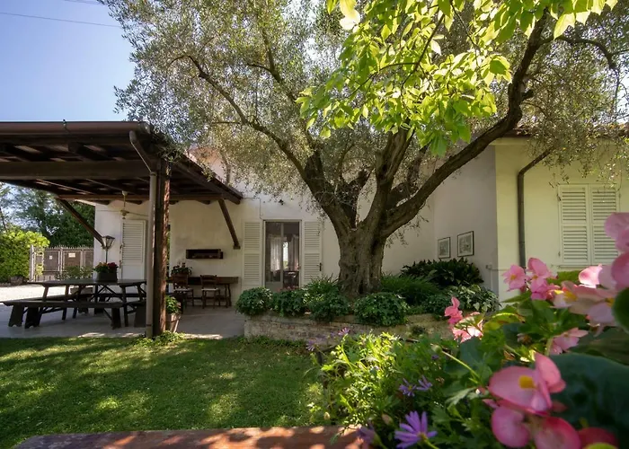 Trecentolivi B&B